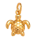 Turtle Charm